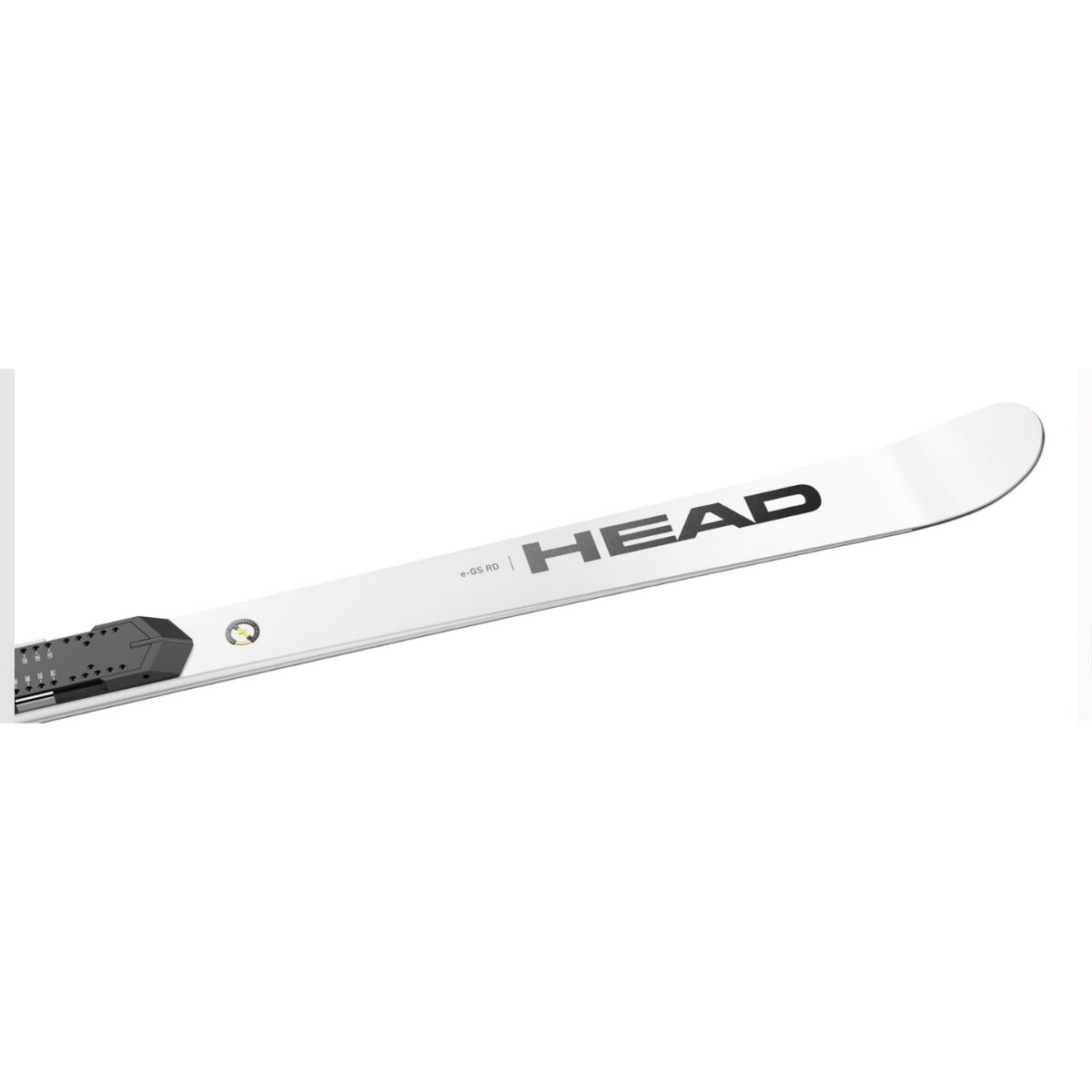 Head Worldcup Rebels e-GS RD Race Plate WCR 14 Skis | Christy Sports