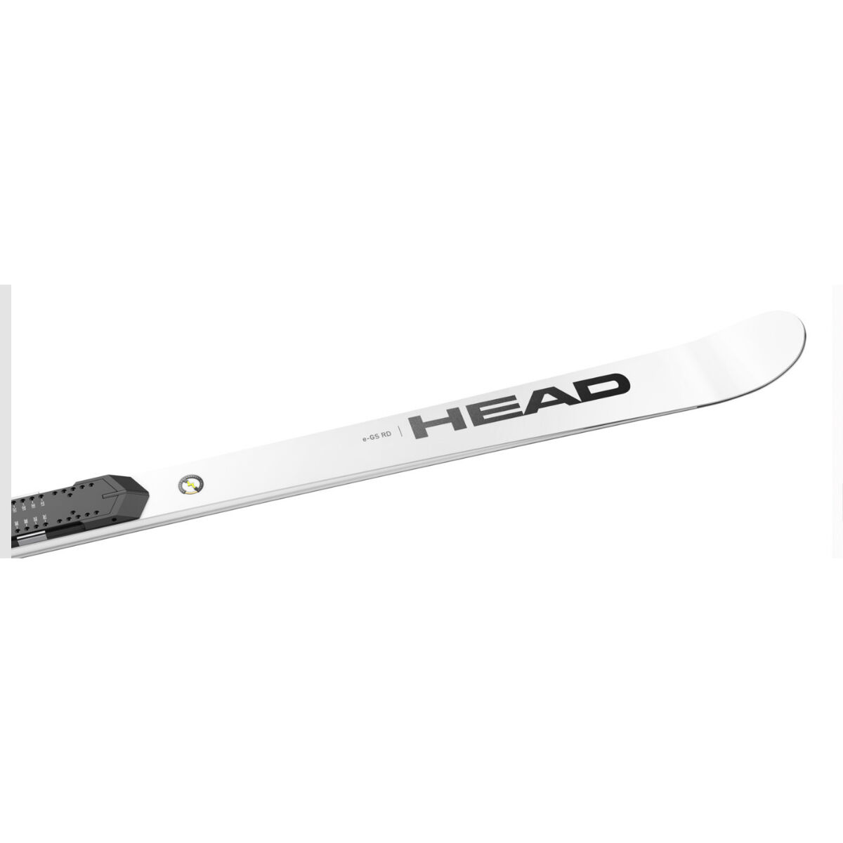 Head World Cup Rebels e-GS RD FIS Skis w/WCR 14 Plates | Christy