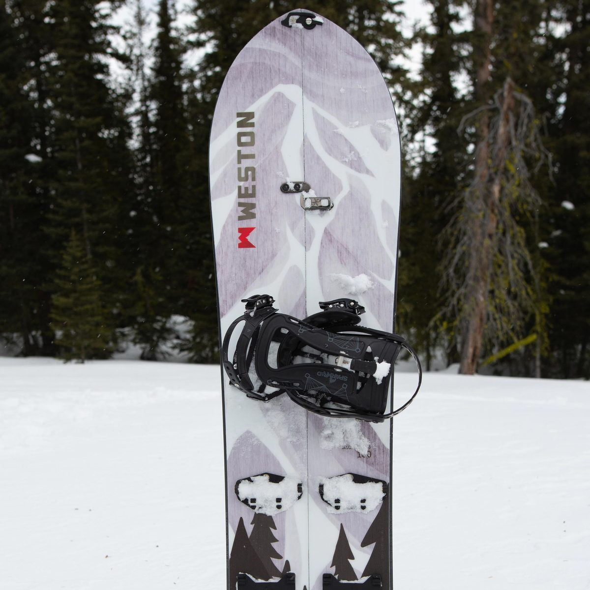 backwoods snowboard