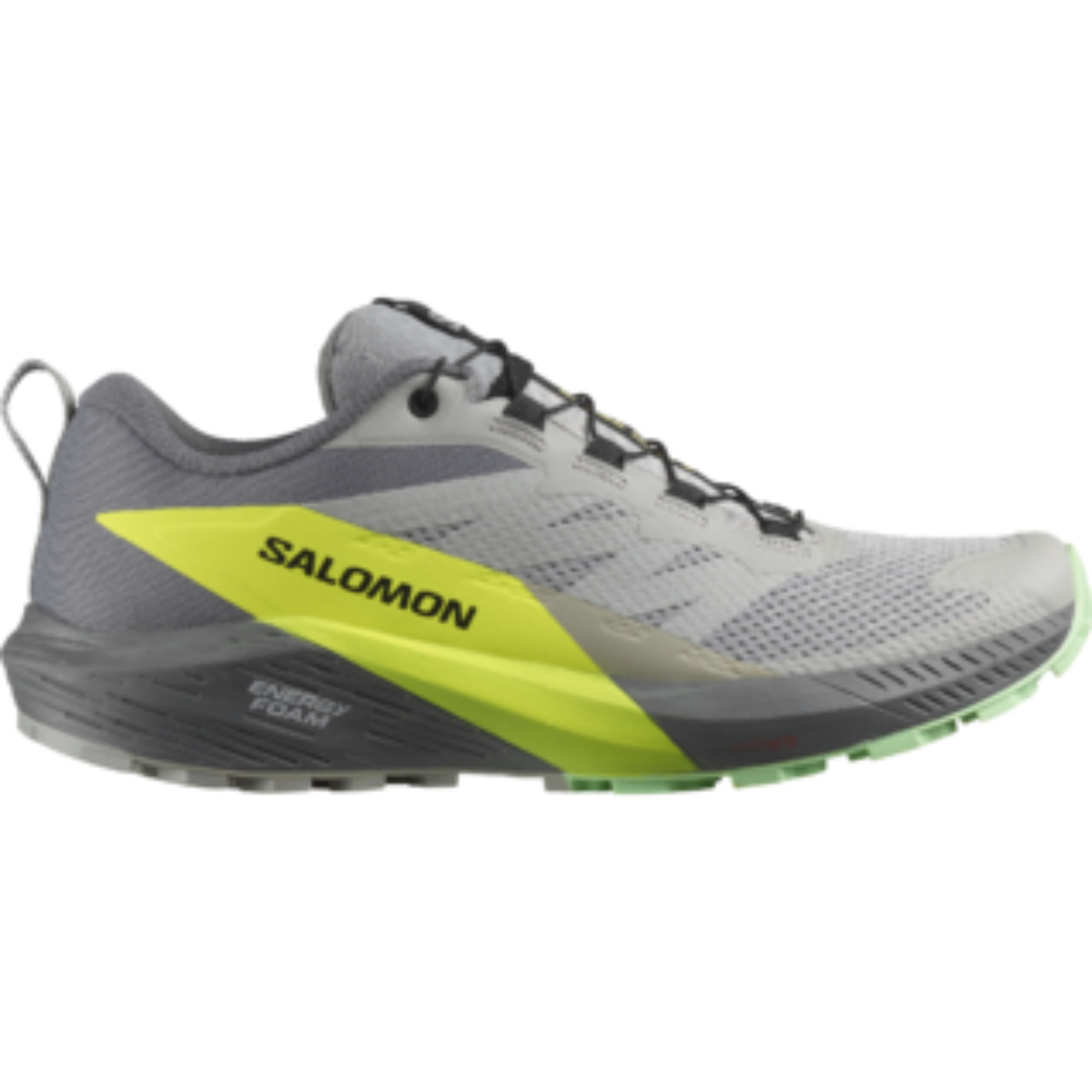 Men's Salomon Sense Ride 5, Free Shipping $99+