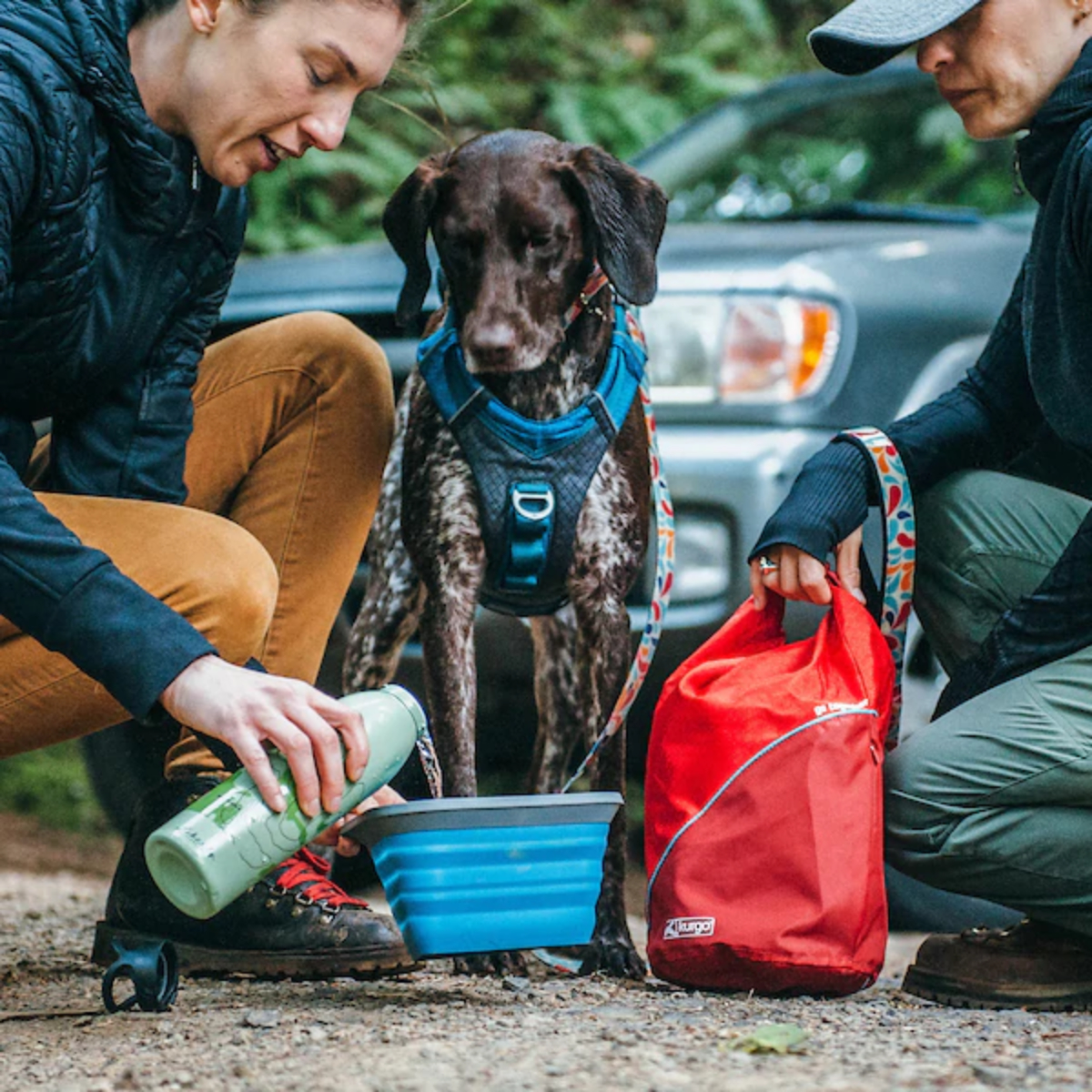 Kurgo Mash N Stash Collapsible Dog Bowl