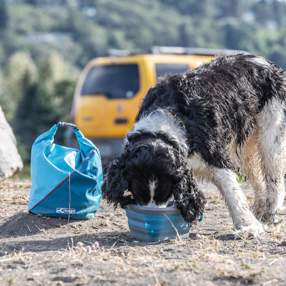 Kurgo collapsible dog top bowl